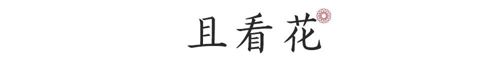 一日慎独则心安日日精进,日日精进人生