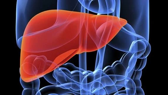 加味逍遥丸和逍遥丸的区别和功效,逍遥丸和丹栀逍遥丸能一起吃吗