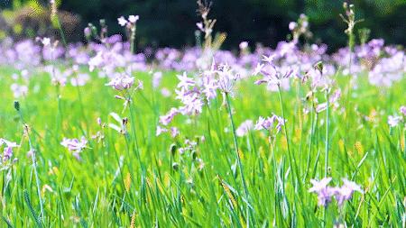 深圳周末浪漫好去处,深圳浪漫约会地点十个景点