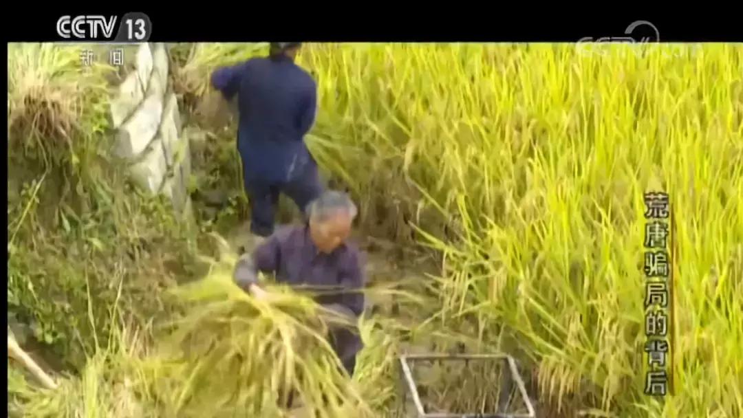 交1000元返利2000骗局,交10元领120万国家扶持项目