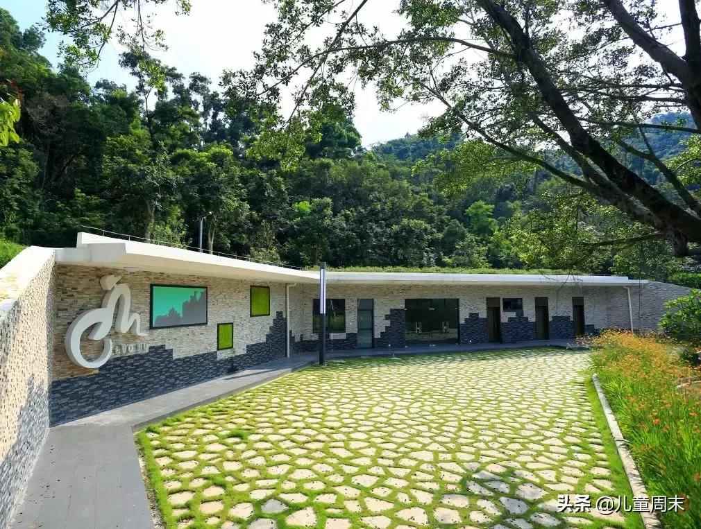淘金山绿道晚上图片,淘金山绿道深圳罗湖网红