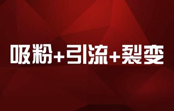 果果云,果果云服务