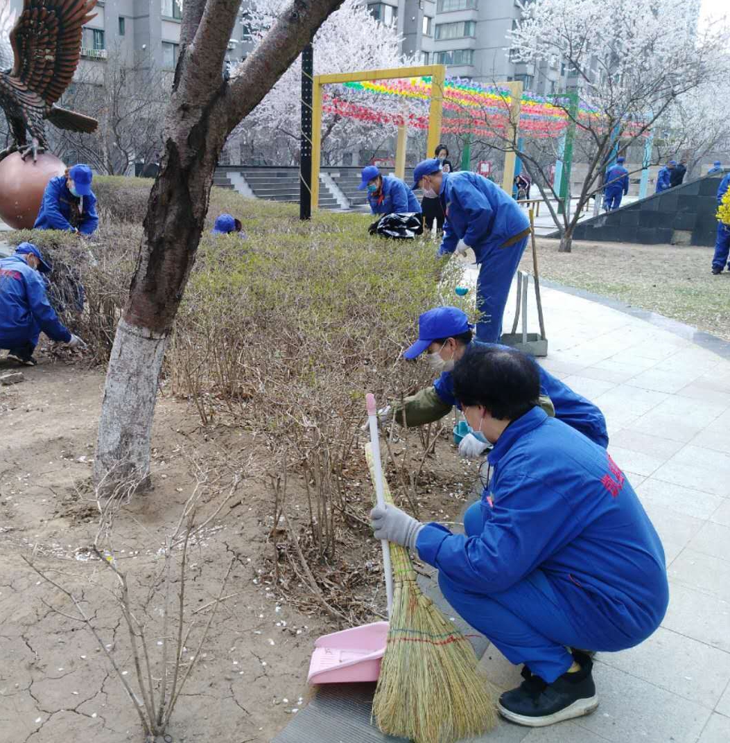 社区联合红色物业助力创城工作,凝聚红色力量共建美好社区