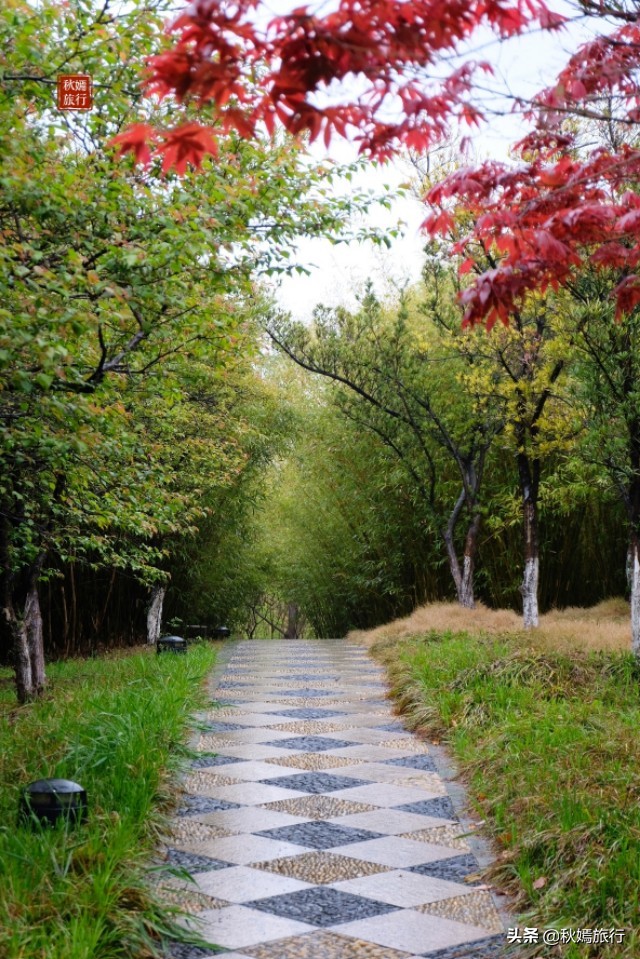 春雨菲菲游常熟滨江公园，浒浦江边品江鲜，23道菜共720元贵吗？
