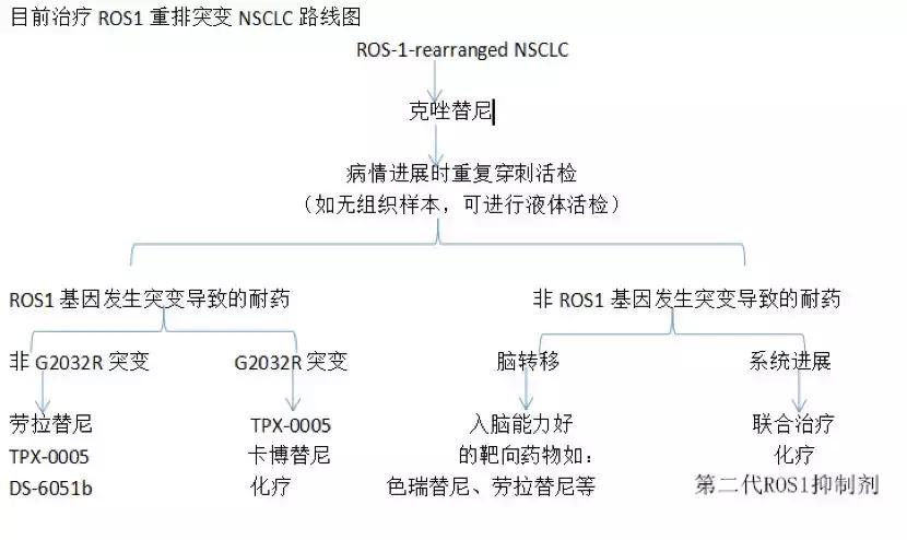 药物基因检测结果准确吗 (基因检测最准确的药)