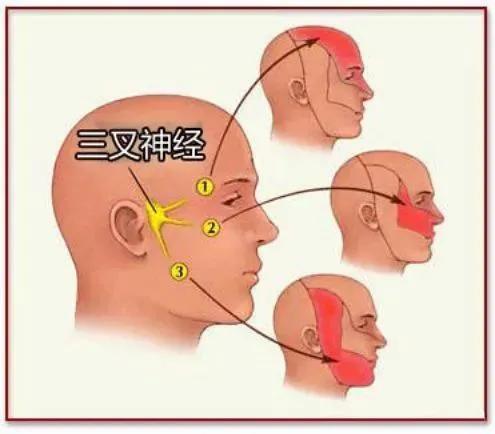 疼痛无需再忍,疼痛不要忍耐