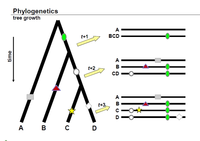 测年法种类大全,测年龄的最准的方法