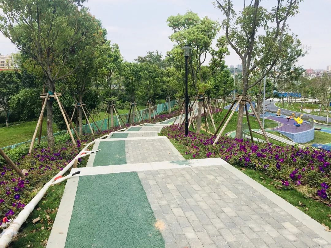 万科公园里6栋115平01户型,万科公园里一期106平户型图