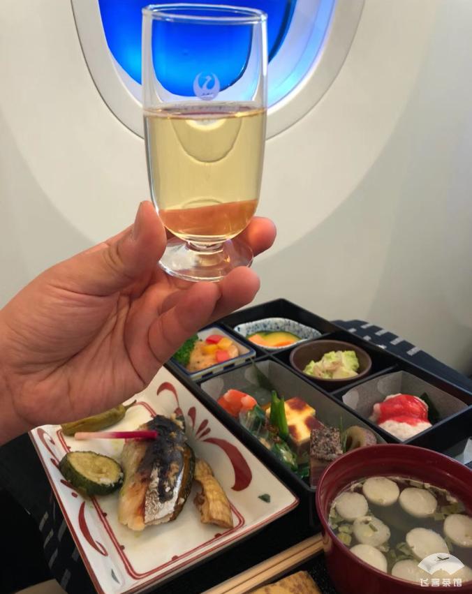 日航飞机头等舱体验视频 (日航787商务舱体验)
