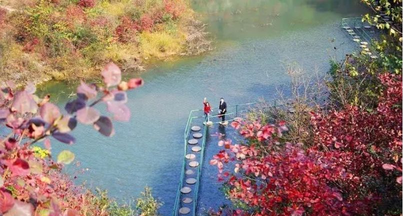 南阳5.9旅游年卡,80元南阳景区畅玩