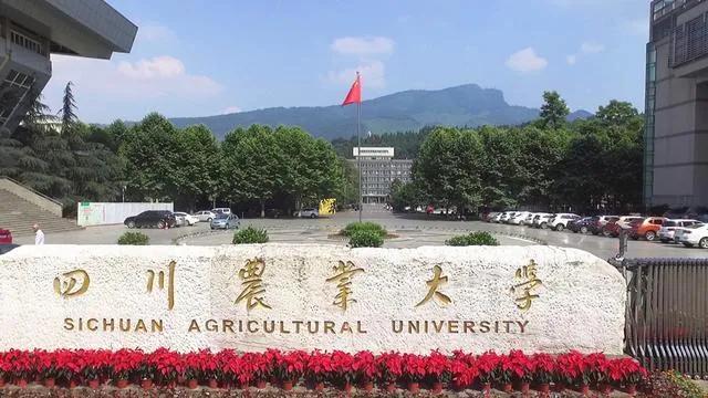 想报自考的人在哪找,想报自考去哪里报名