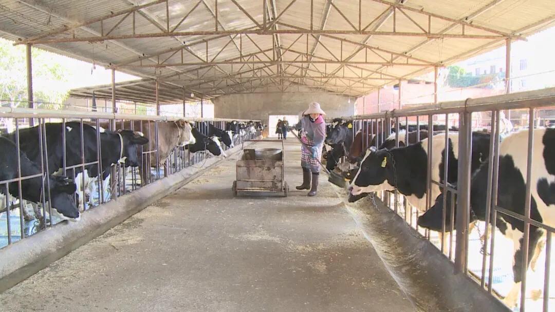 云南个旧市包家庄,个旧市鸡街镇的发展