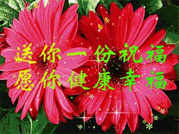五一群相册