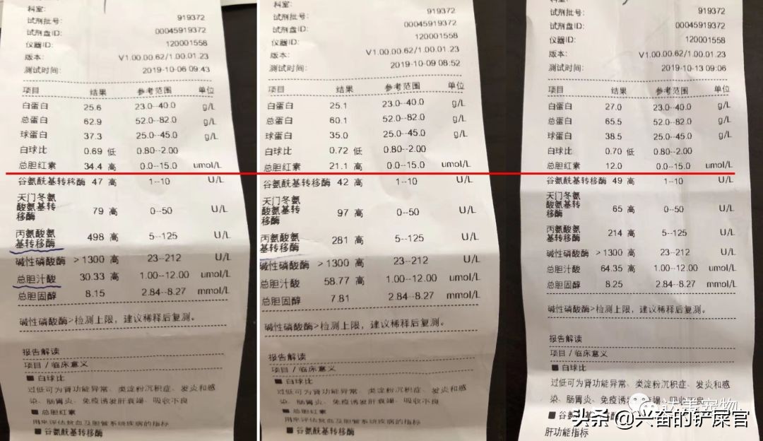 狗狗肝脏衰竭肝腹水有救吗,狗狗黄疸肝衰竭