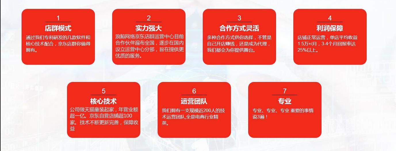 电子商务经营模式,农村电子商务运营模式