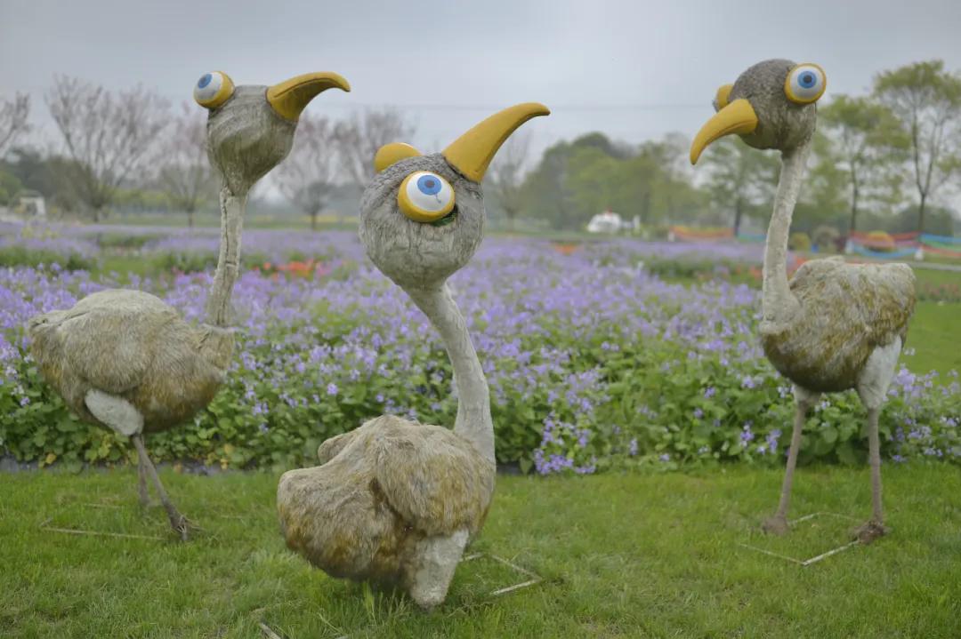 战旗村妈妈农庄,到战旗村妈妈农庄怎么走