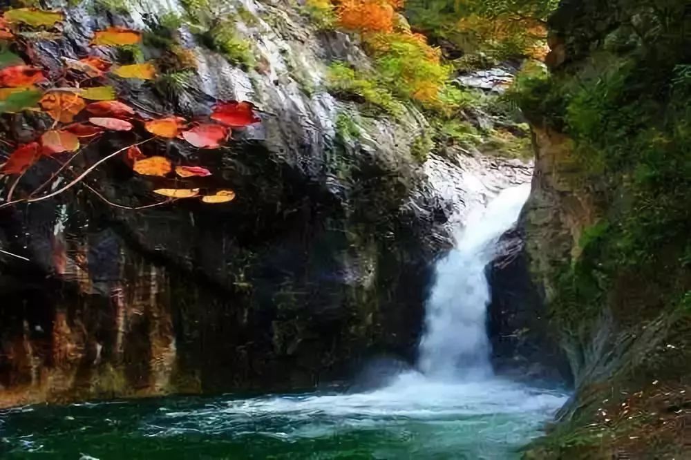 宁夏一个你来了就不想走的地方,宁夏固原最好的地方