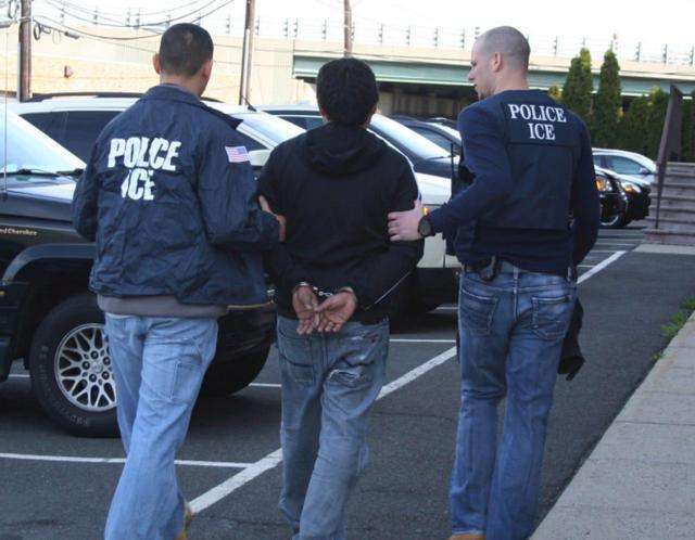 交易合法化给荷兰带来了哪些影响,交易合法化给荷兰带来了什么