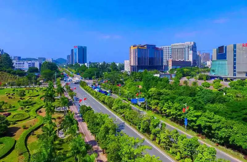 春天该很好，倘若你在场！龙岗最“花心”的地方是……