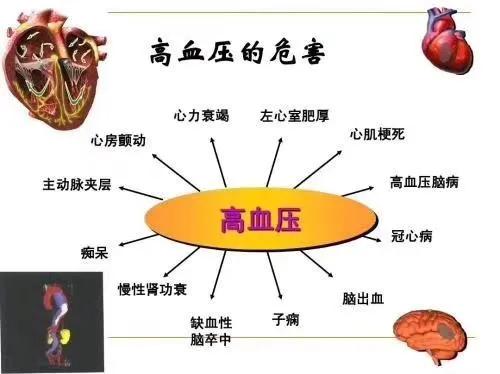 治高血压的中药冲剂,中药治高血压能除根