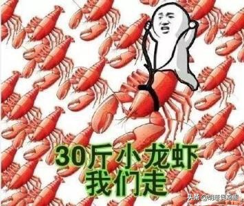 小龙虾养殖怎么管理,小龙虾地笼养殖