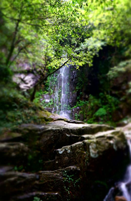 多特福特拉36升背包测评,多特福特拉27升徒步背包评测