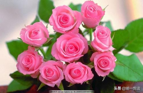 2019新起点征程,新的一年一切向前看