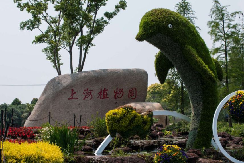 上海植物园景点攻略三日游,上海景点导游讲解